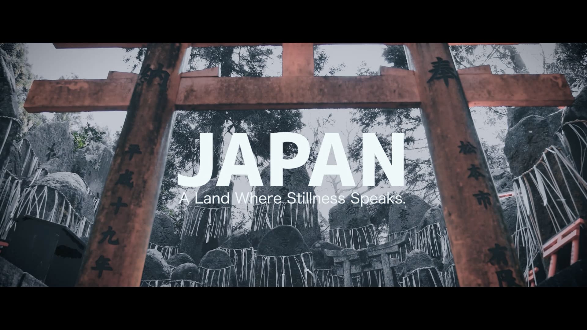 観光プロモーション SNS広告